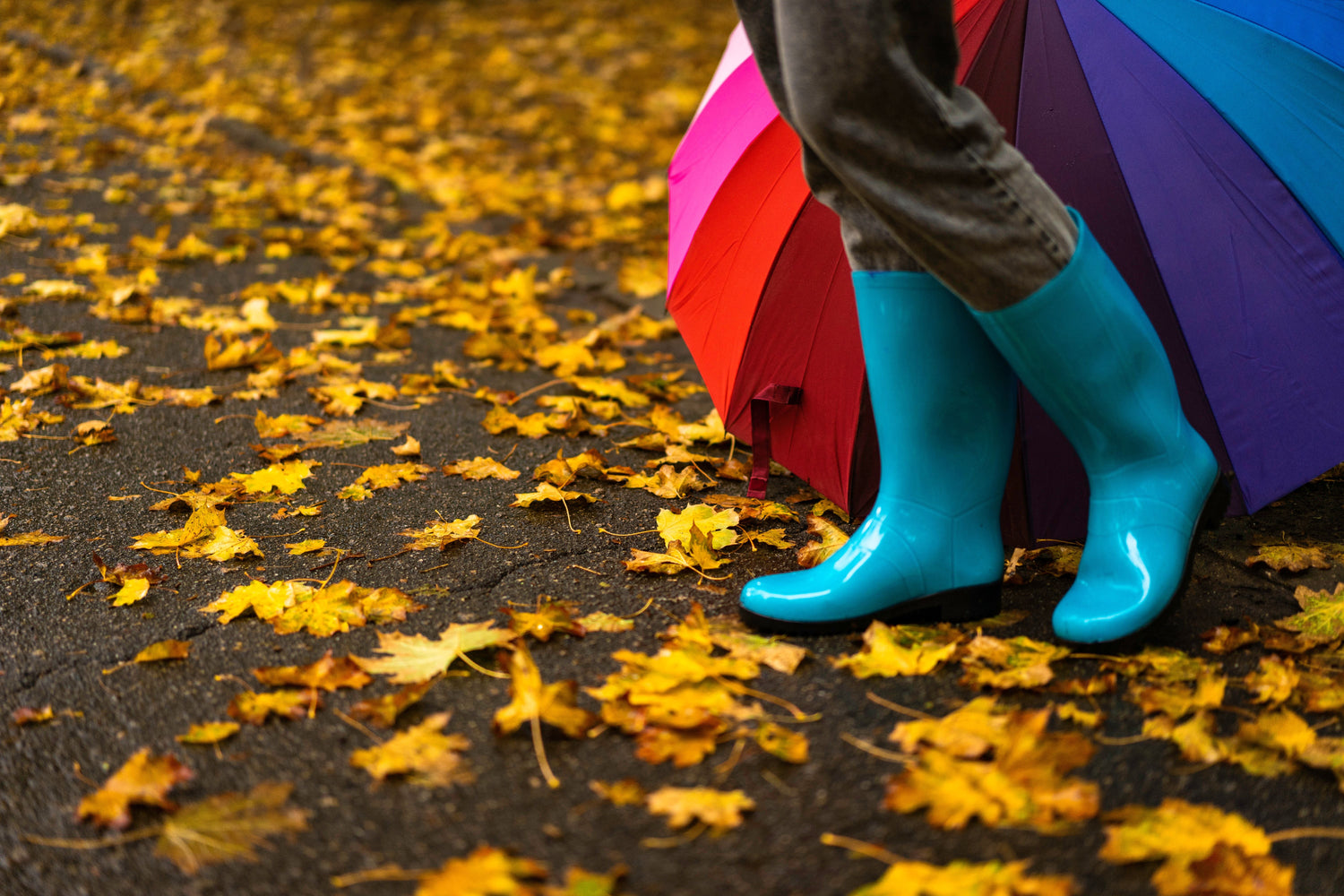 C04ib - The Women’s Rain Boot Edit
