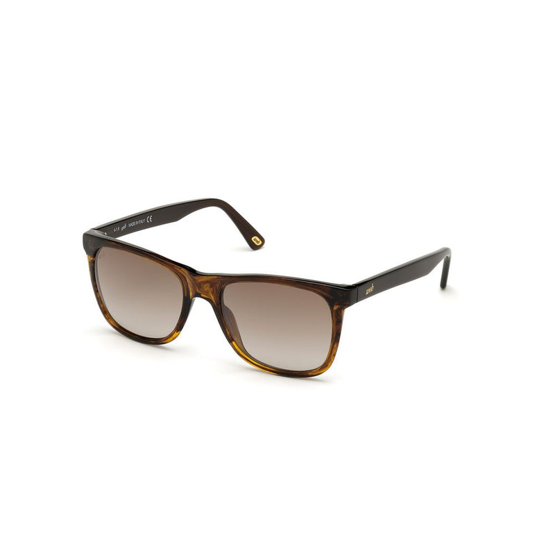 WEB EYEWEAR Brown Acetate Sunglasses