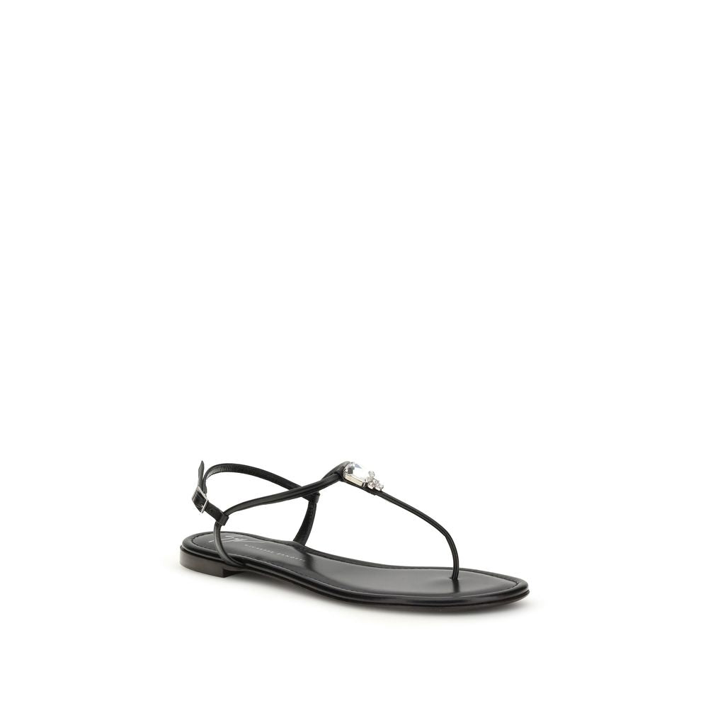 Giuseppe Zanotti Black Calf Leather Bos Taurus Flat Sandals - ClickThatClicks 