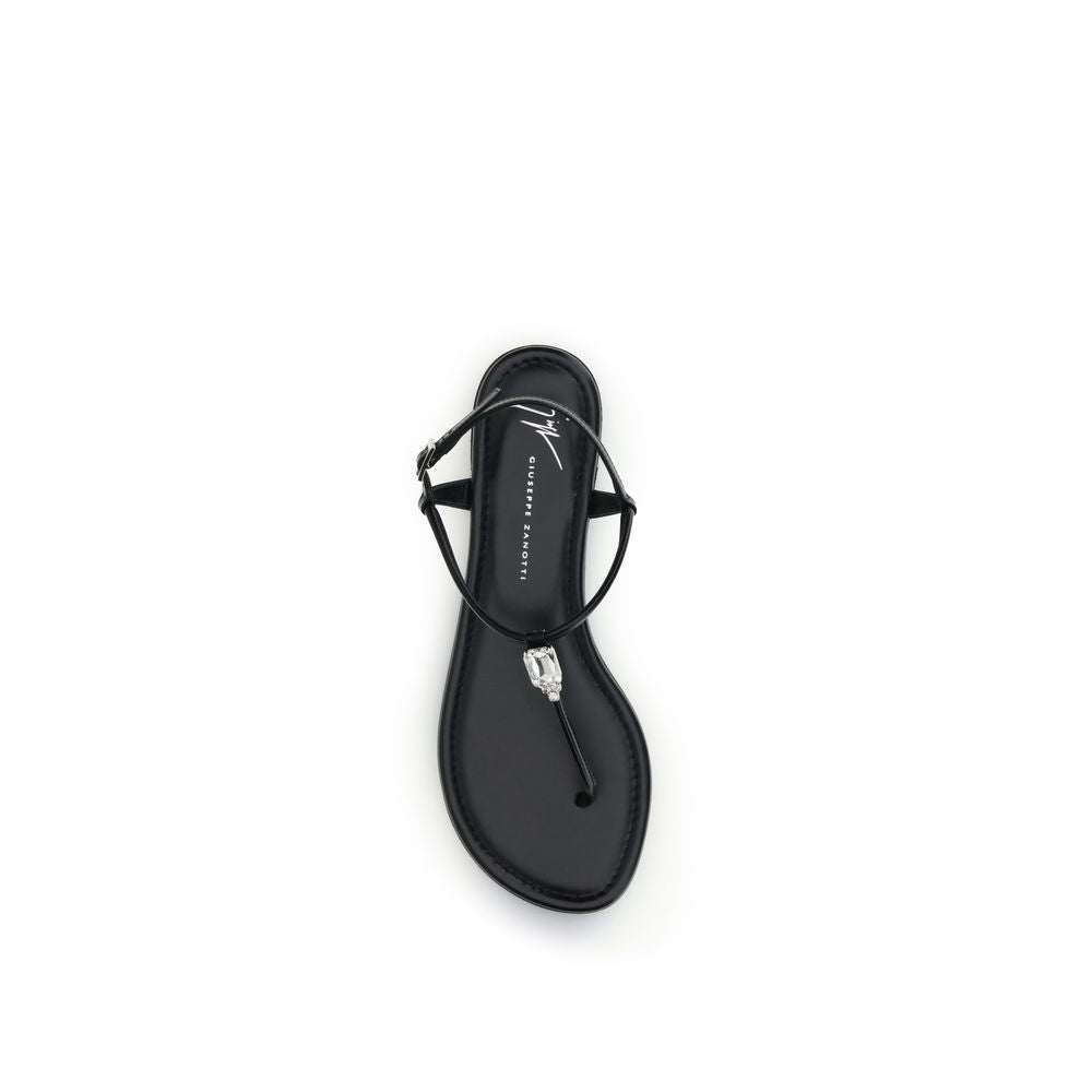 Giuseppe Zanotti Black Calf Leather Bos Taurus Flat Sandals - ClickThatClicks 
