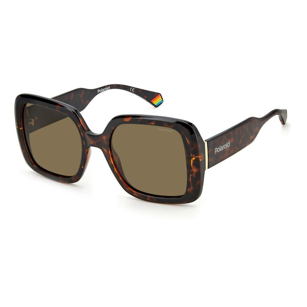 Polaroid Brown Resin Sunglasses - ClickThatClicks 