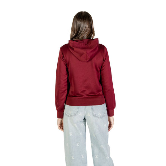 Calvin Klein Bordeaux Cotton Hoodie - ClickThatClicks 