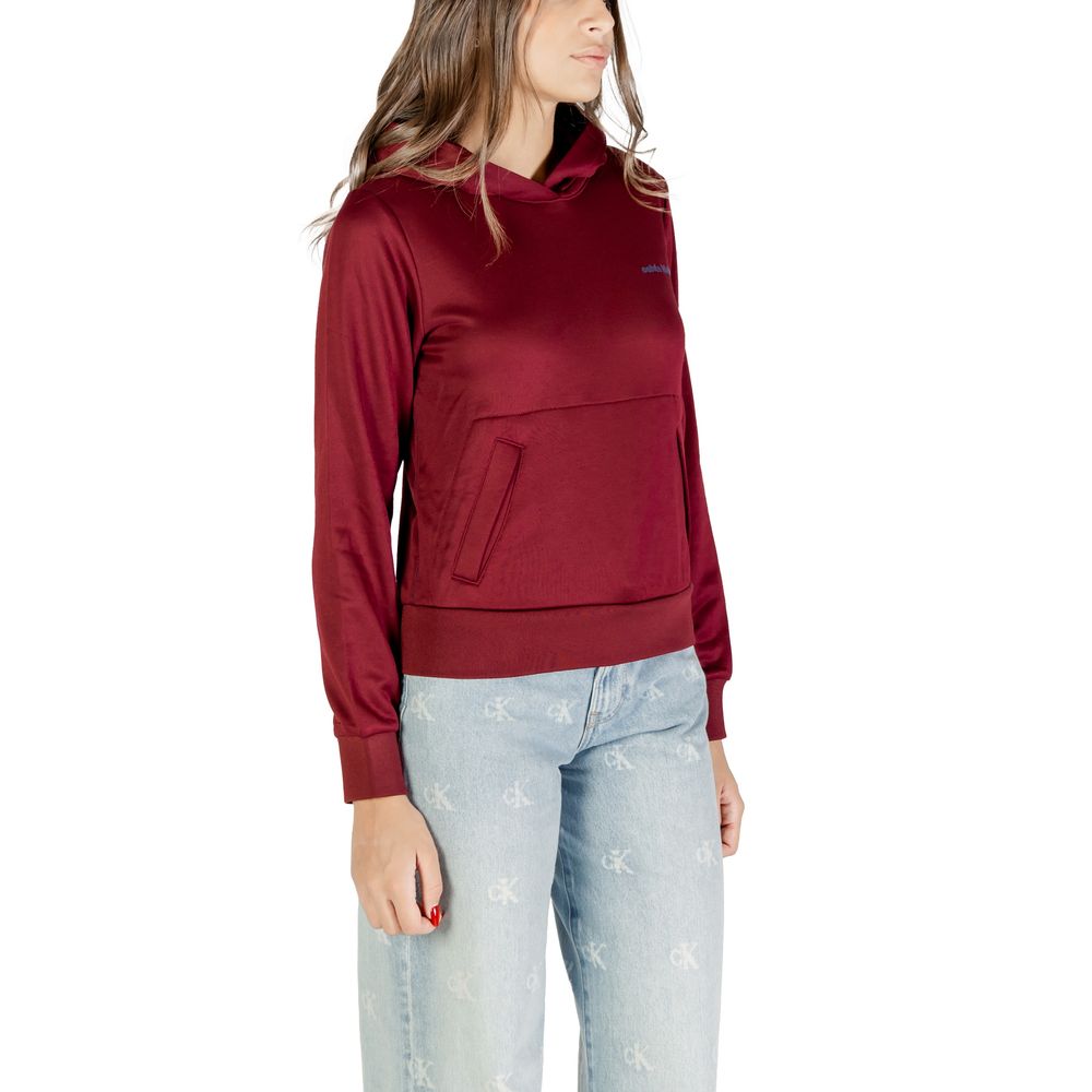 Calvin Klein Bordeaux Cotton Hoodie - ClickThatClicks 