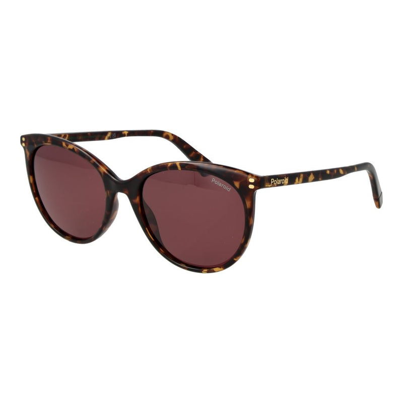 Polaroid Brown Polycarbonate Sunglasses - ClickThatClicks 