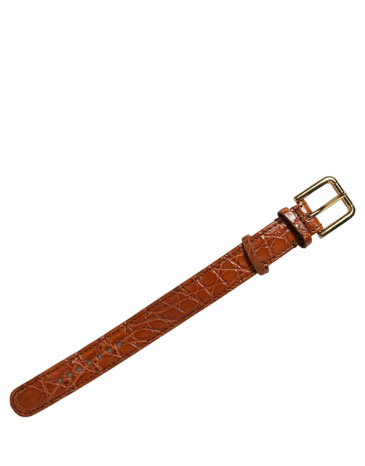 Dolce & Gabbana Brown Textured Leather Gold Buckle Belt Strap Bracelet