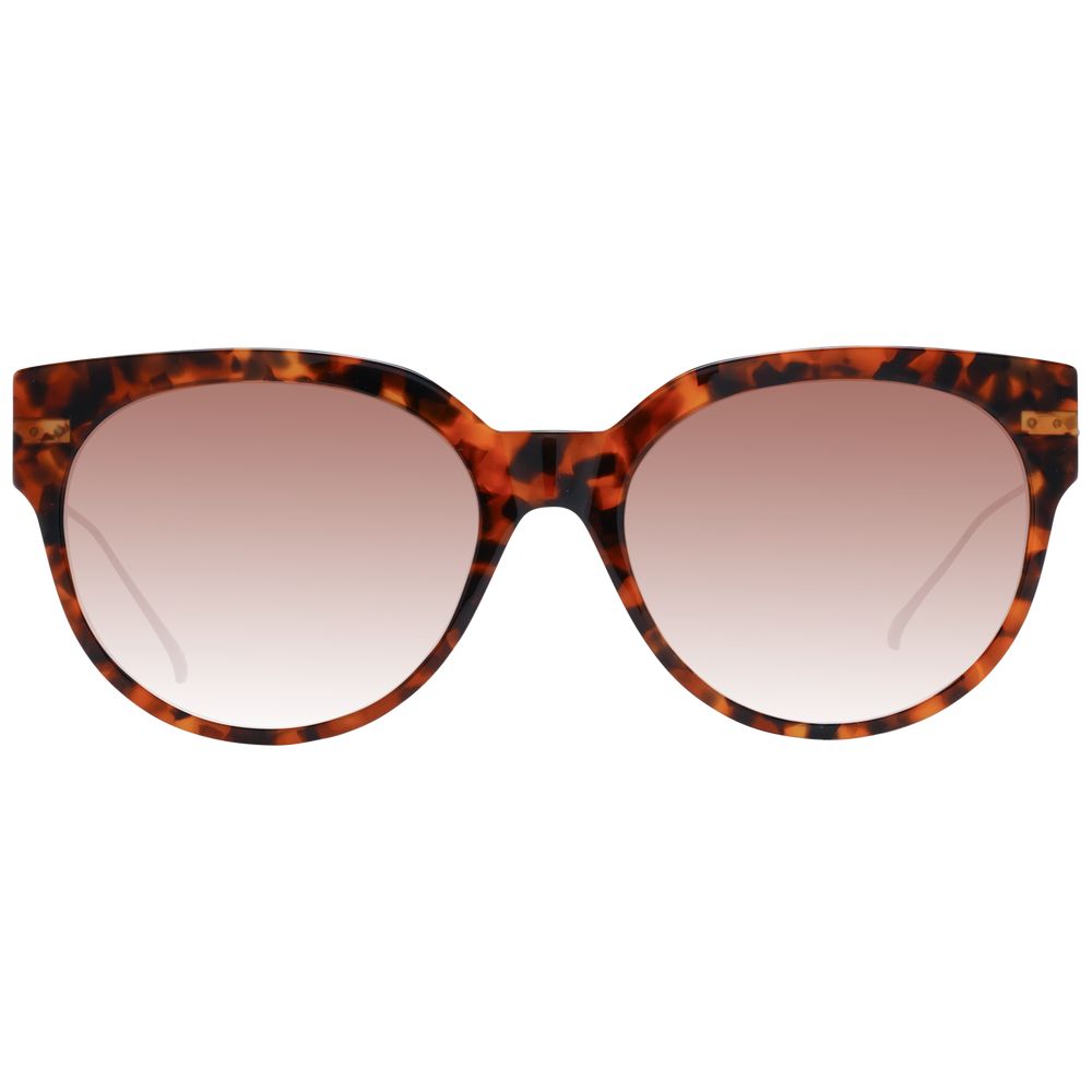 Scotch & Soda Brown Acetate Sunglasses - ClickThatClicks 