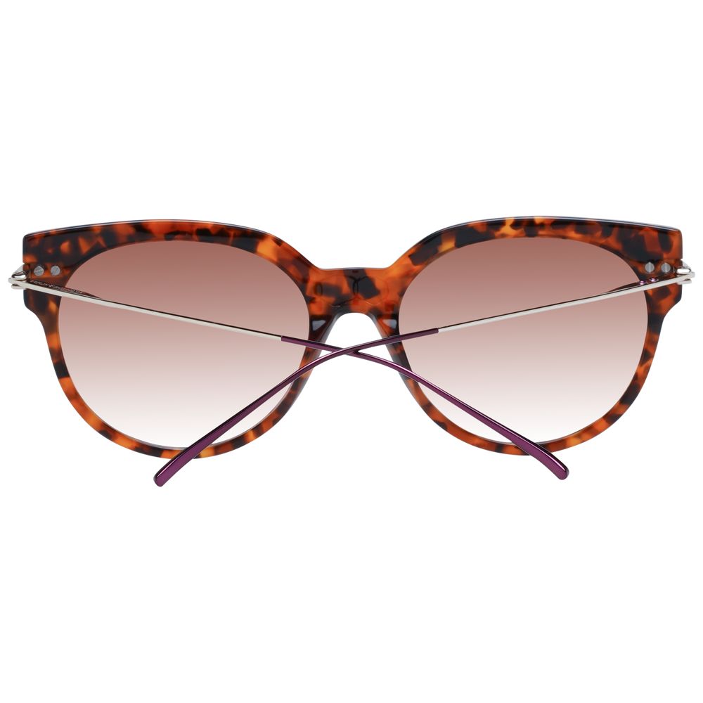 Scotch & Soda Brown Acetate Sunglasses - ClickThatClicks 