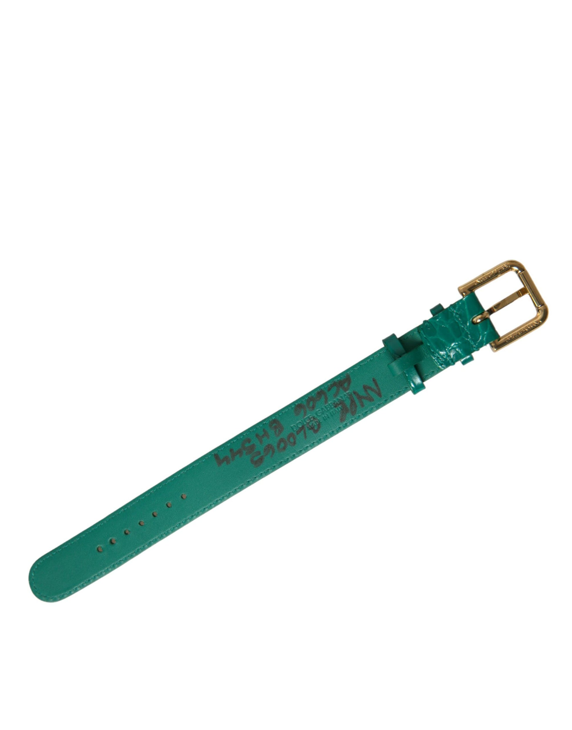 Dolce & Gabbana Green Textured Leather Gold Tone Metal Buckle Neckband - ClickThatClicks 