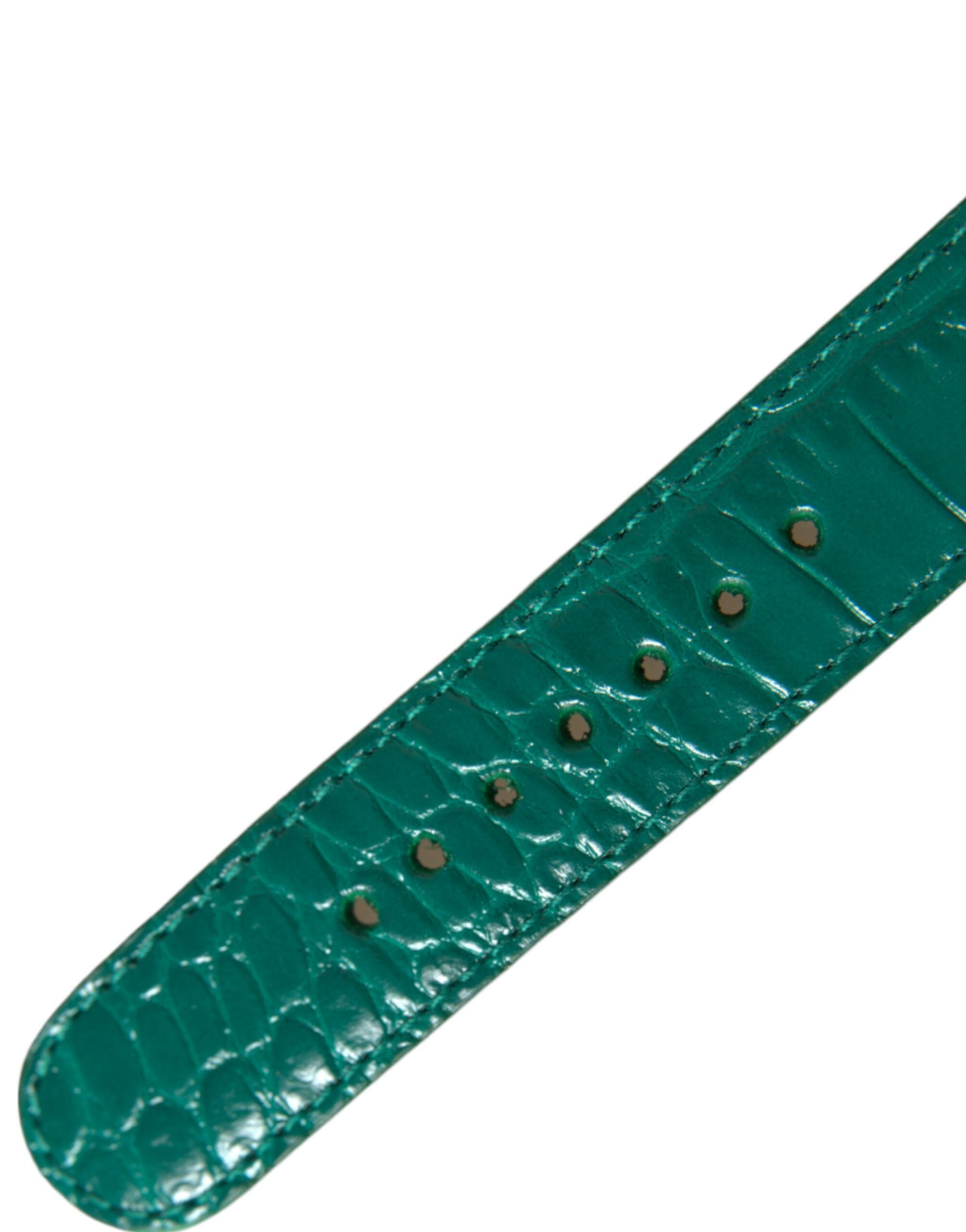 Dolce & Gabbana Green Textured Leather Gold Tone Metal Buckle Neckband - ClickThatClicks 