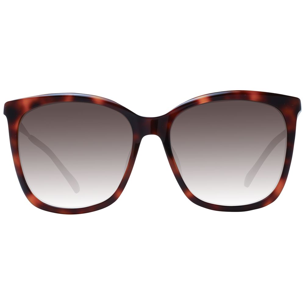 Jimmy Choo Brown Women Sunglasses - ClickThatClicks 
