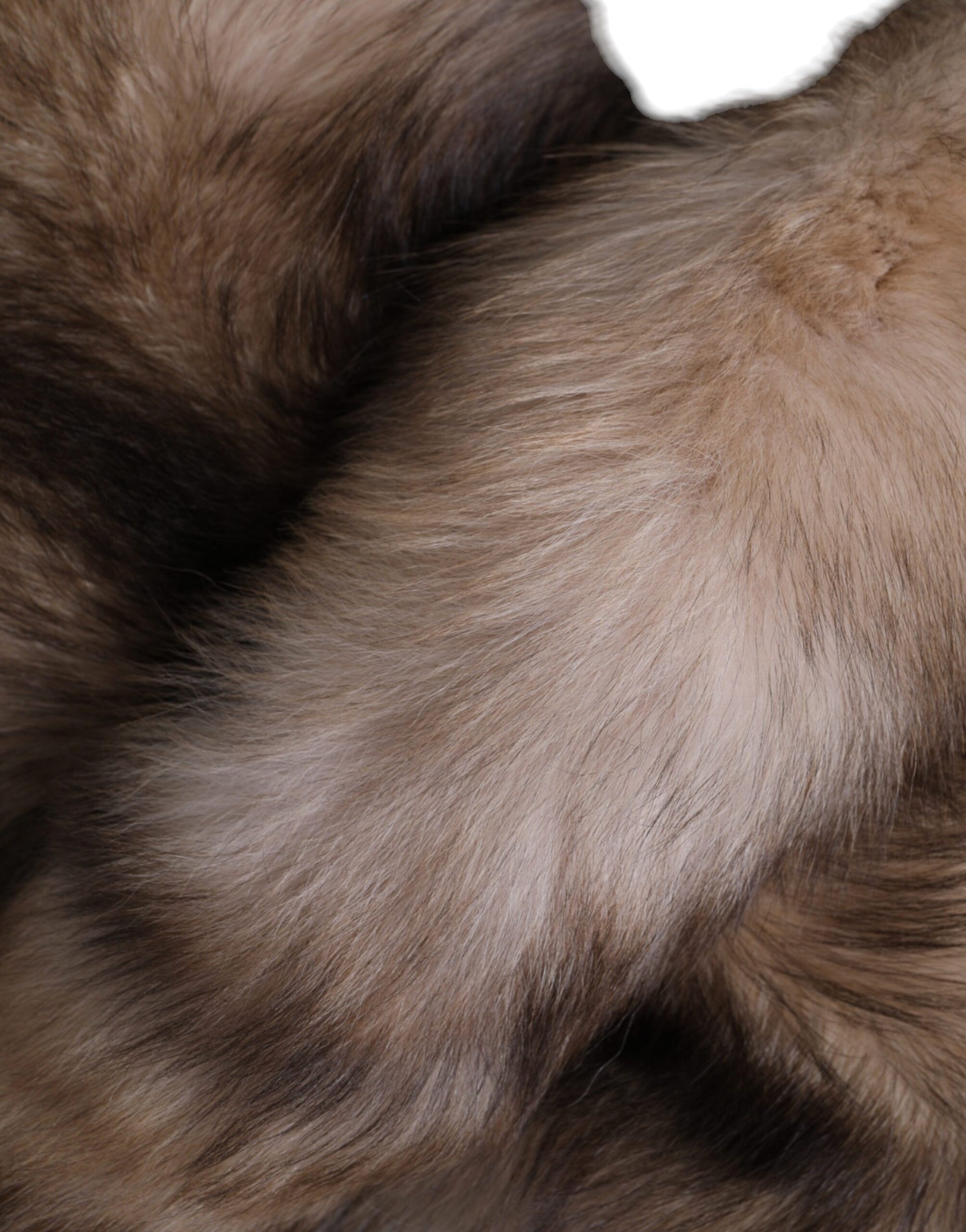 Dolce & Gabbana Brown Frost Fox Fur Neck Warmer Winter Scarf - ClickThatClicks 