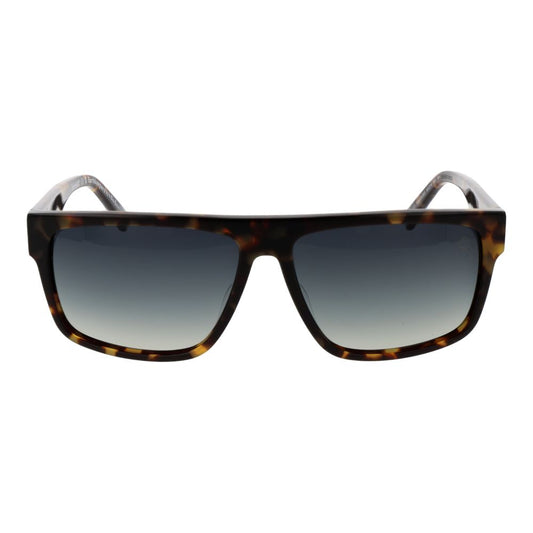 Timberland Brown Acetate Sunglasses - ClickThatClicks 