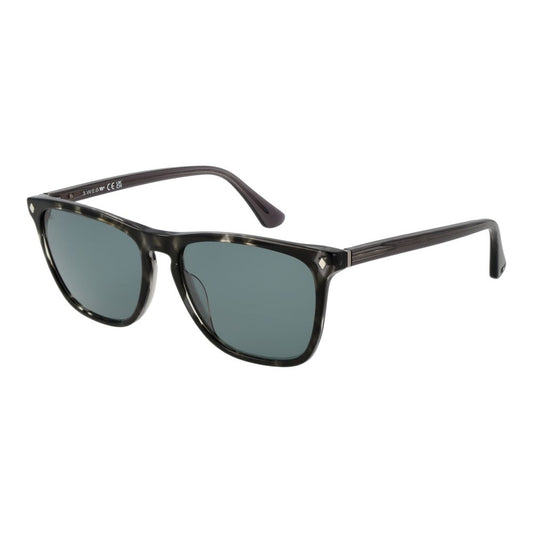 Web Black Acetate Sunglasses - ClickThatClicks 
