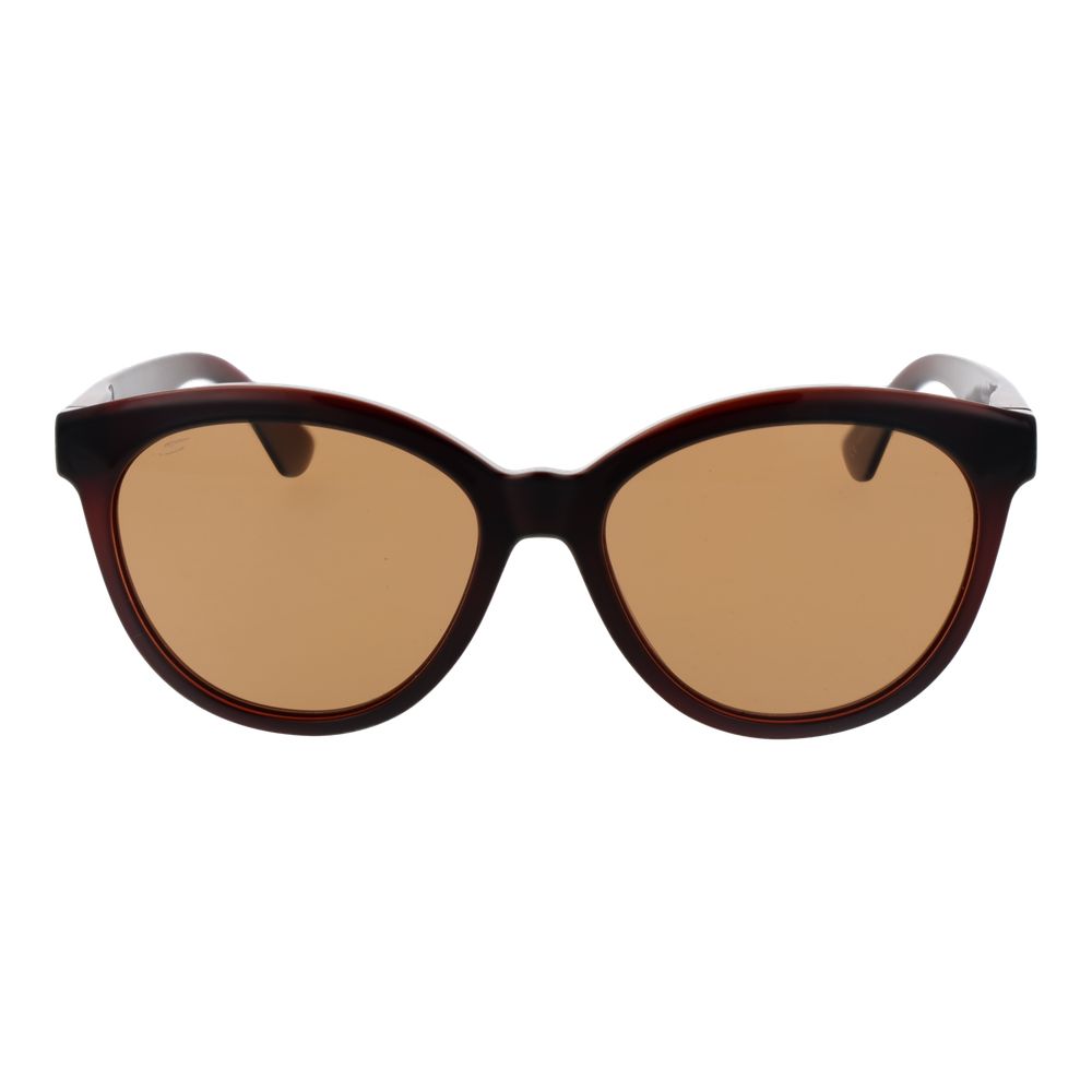 Serengeti Brown Plastic Sunglasses - ClickThatClicks 