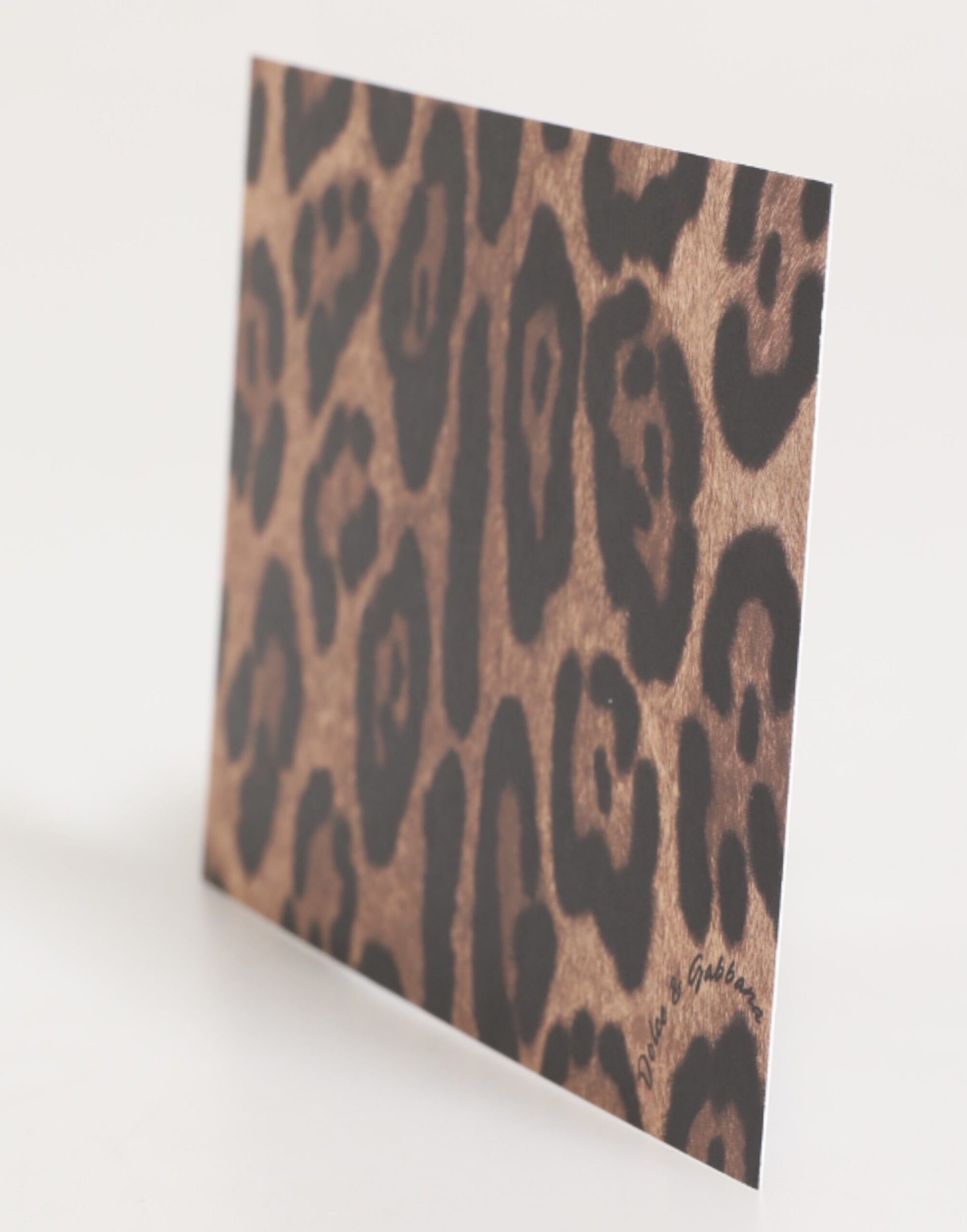 Dolce & Gabbana Multicolor Leopard Print Envelope Paper Post Card Holder - ClickThatClicks 