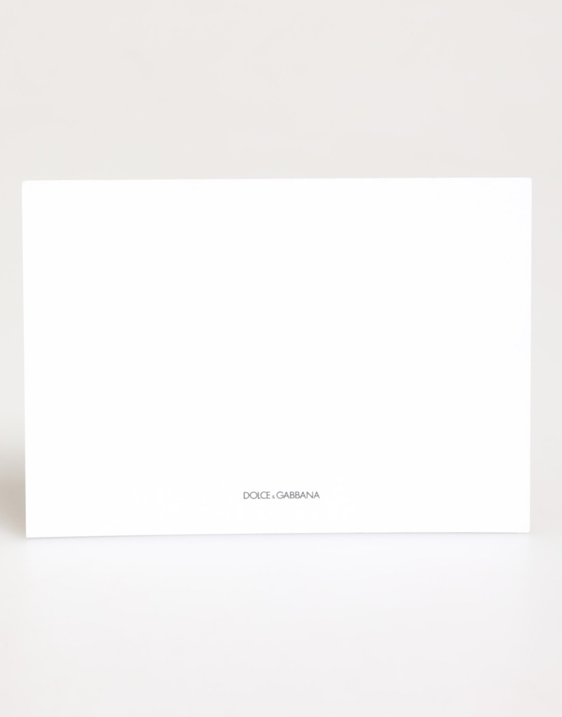 Dolce & Gabbana Multicolor Leopard Print Envelope Paper Post Card Holder - ClickThatClicks 
