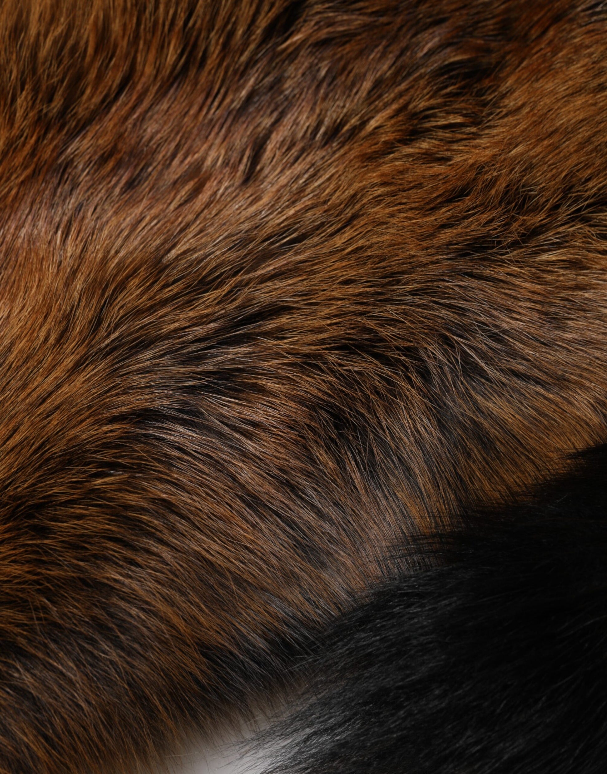 Dolce & Gabbana Brown Red Fox Fur Neck Cashmere Warmer Scarf - ClickThatClicks 