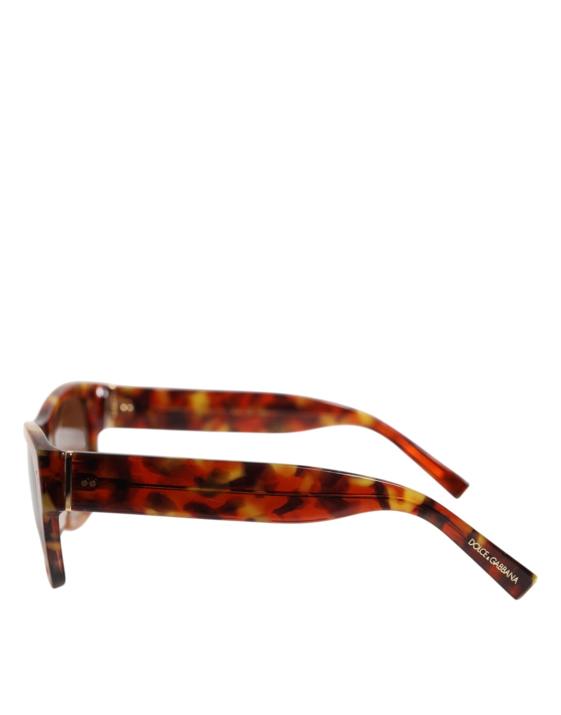 Dolce & Gabbana DG4338F Brown Havana Full Rim Round Lenses Sunglasses - ClickThatClicks 
