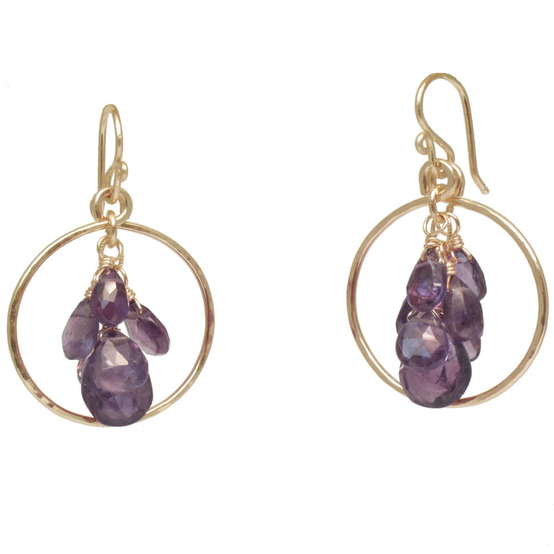 Hammered Circle Earrings with Amethyst