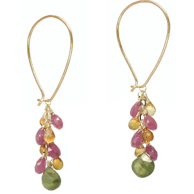 Pink Ruby & Multi-Gem Long Earwires