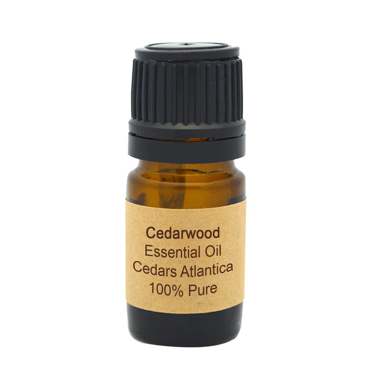 Cedarwood Atlas Essential Oil – Grounding, Aromatherapeutic & Pure Oil