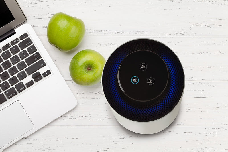 Carbon Filter Replacement Pack