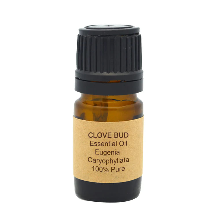 Clove Bud Essential Oil – Stimulating, Warming & Aromatherapeutic Oil